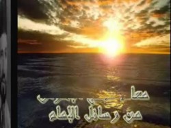 الحلقة الحادية عشرة