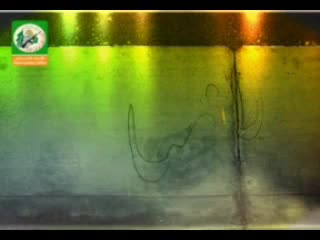 الأنصار أقمار