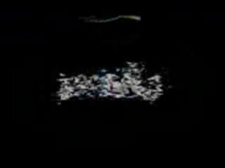 الجزء الثامن