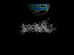 خواطر حول الحج