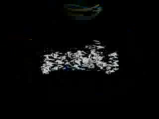 م.حسني عمر- دمنهور- بحيرة