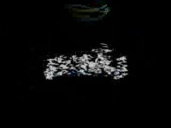 منال إسماعيل-مقعد المرأة- البحيرة