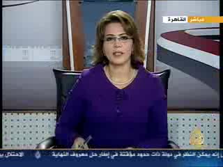 د. عصام العريان على الجزيرة (1)