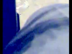 تجاوزات تمزيق لافتات الإخوان بدمياط