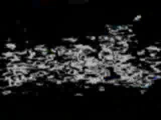 مؤتمر المرشد العام لفضح تزوير الانتخابات (3)