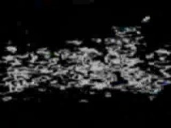 مؤتمر المرشد العام لفضح تزوير الانتخابات (3)