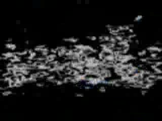 مؤتمر المرشد العام لفضح تزوير الانتخابات (1)