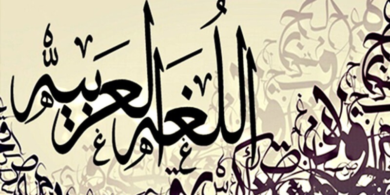 في اليوم العالمي للعربية.. (ض) لغة الحياة