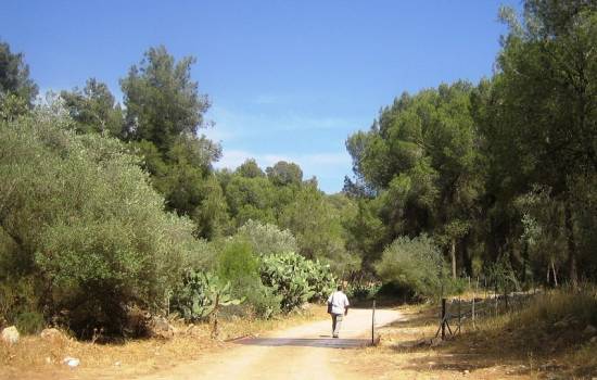 المحميات الطبيعية: سلاح الاحتلال الجديد لنهب أراضي الفلسطينيين