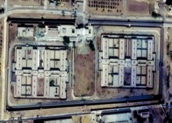 مصر العسكر.. بين "حربي" الطاغية و"عقرب" السفاح (2- 2)