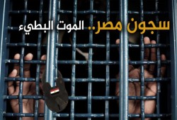 استشهاد 31 معتقلا بسجون الانقلاب فبراير الماضي وتواصل الانتهاكات بحق الحرائر