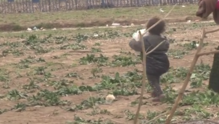 رغم تعثرها لمرات.. طفلة سورية تساعد والدتها لعبور الحدود اليونانية