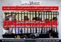 مطالبات حقوقية بالإفراج عن البلتاجي وياسين ووقف الإخفاء القسري للحرائر