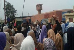 سجون السيسي تستغل "كورونا" لنهب المعتقلين