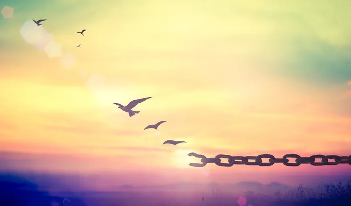 المطففون ومغادرة العدل