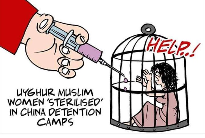 "الصين" تبيد الإيجور.. إجهاض وتعقيم للنساء واعتقال ذوي الأطفال