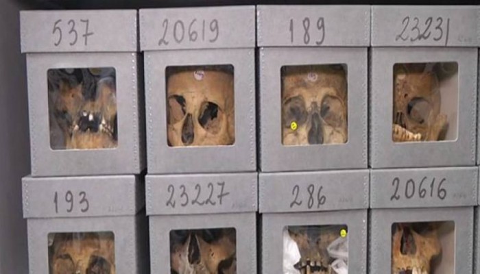 "وصمة عار".. جماجم أبطال المقاومة الجزائرية "ديكور" في متحف فرنسي