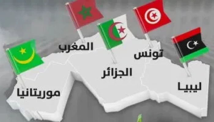 الربيع العربي.. مساءلة "ولد عبدالعزيز" برلمانيًّا وهل يكون دور "للجزائر" في ليبيا؟