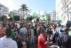 لهذه الأسباب.. إسلاميو الجرائز يعلنون رفض دستور الرئيس المعدل