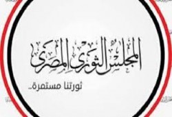 المجلس الثوري المصري يعقد مؤتمرا حول جائحة كورونا