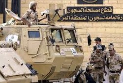 تضامن حقوقي دولي مع حملة للإفراج عن المعتقلين بمصر