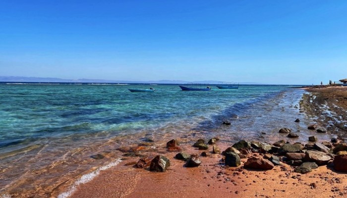 عصام حجي يحذر من تداعيات خطيرة لتآكل شواطئ مصر