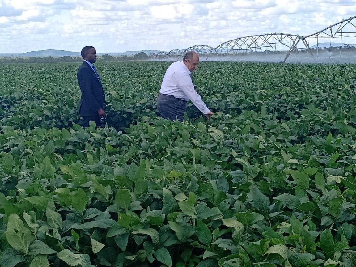 أزمة جديدة تهدد المزارعين بسبب هبوط الأسعار وارتفاع الديون