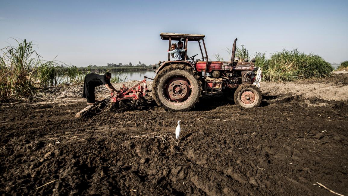 شكاوى لمزارعي البنجر من تدني أسعار ‏التوريد للحكومة