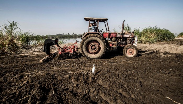 شكاوى لمزارعي البنجر من تدني أسعار ‏التوريد للحكومة