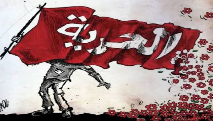 نشطاء يدشنون #الحرية_لمعتقلي_الرأي للتضامن مع الأحرار بسجون الانقلاب