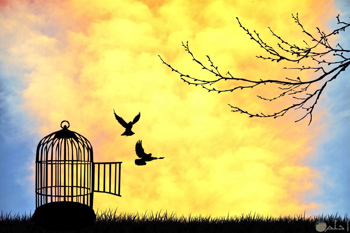 الافراج عن مليكة الماحي بعد قرار إخلاء سبيلها بـ37 يوما