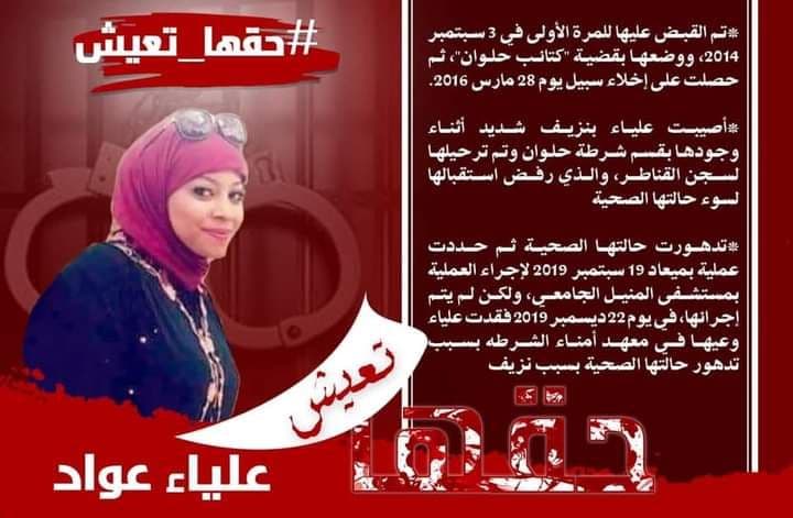 الصحفية علياء نصر الدين.. سلسلة من الاعتقالات والمعاناة في سجون الانقلاب