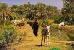 خبراء يحللون دوافع قائد الانقلاب من تعيين ضابط لكل قرية