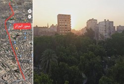 الانقلاب يبدأ مذبحة جديدة للأشجار.. محور مروري يخترق قلب المعادي