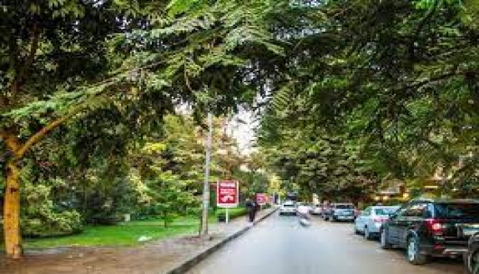 حكومة الانقلاب: لا تعويضات أو بدائل للمتضررين من محور الجزائر بالمعادي