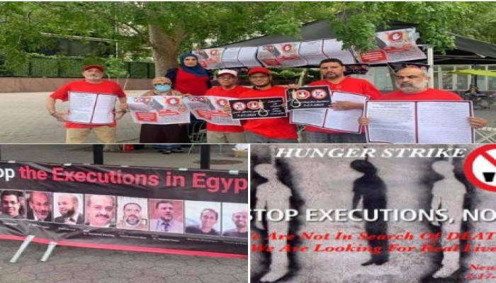 الشبكة المصرية تعلن دعمها الكامل لإضراب النشطاء حول العالم