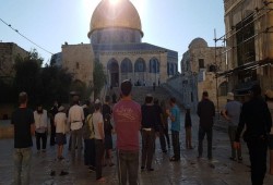 تركيا تدين انتهاكات الاحتلال الهمجية في الأقصى