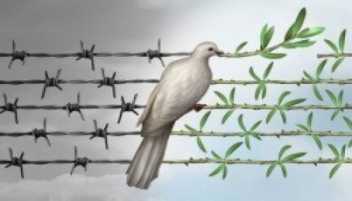 بالأسماء.. إخلاء سبيل 9 من معتقلي أبو كبير بالشرقية