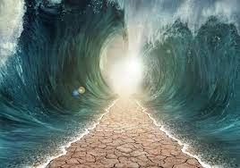 غباء الظالمين