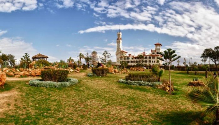 غضب بين نشطاء التواصل من مجزرة الأشجار في حدائق المنتزه الملكية