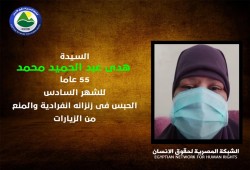 للشهر السادس.. تواصل الانتهاكات بحق السيدة هدى عبد الحميد في سجون الانقلاب