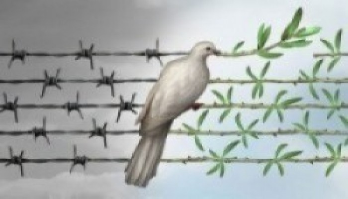 بالأسماء.. إخلاء سبيل 3 سيدات