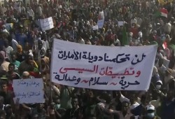 د. خليل العناني: أبو ظبي والعسكر في مصر وراء الانقلابات في المنطقة