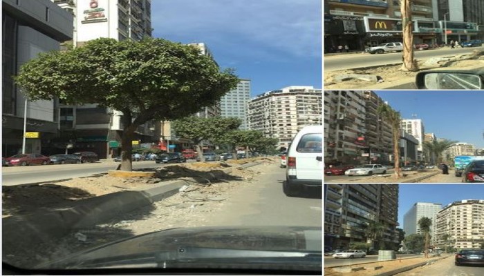 نظام الانقلاب انتهى من إبادة أشجار جزيرة شارع مراد