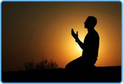 وخير دينكم الورع 