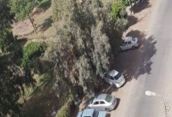 نشطاء: حفارات التطوير أزالت حديقة شارع بالنزهة الجديدة