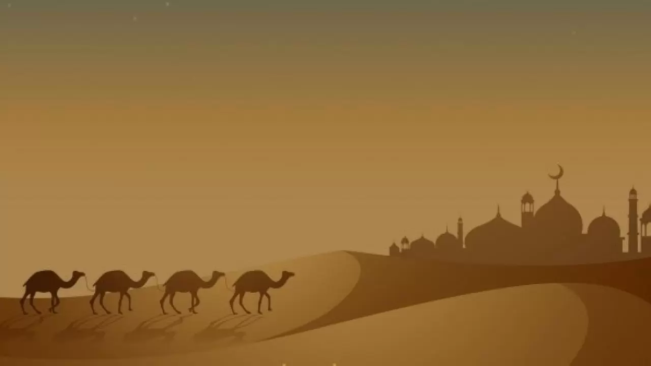 وفي السيرة العطرة.. زاد