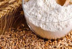 ارتفاع أسعار الغذاء عالميا إلى أعلى مستوى في التاريخ