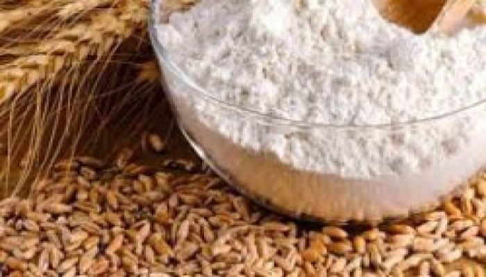 ارتفاع أسعار الغذاء عالميا إلى أعلى مستوى في التاريخ