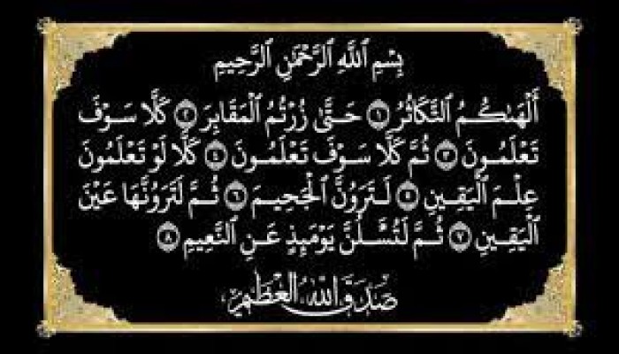 ألهاكم التكاثر